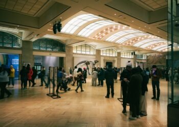 Museums in Lyon for Residents: Confluences and the Fine Arts Museum