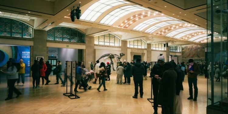 Museums in Lyon for Residents: Confluences and the Fine Arts Museum