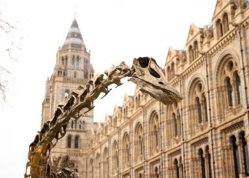 Natural History Museum London with Kids: Dinosaurs and Free Activities