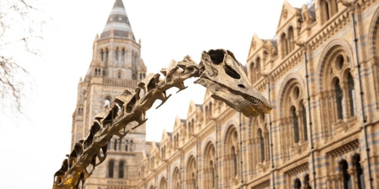 Natural History Museum London with Kids: Dinosaurs and Free Activities