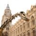 Natural History Museum London with Kids: Dinosaurs and Free Activities