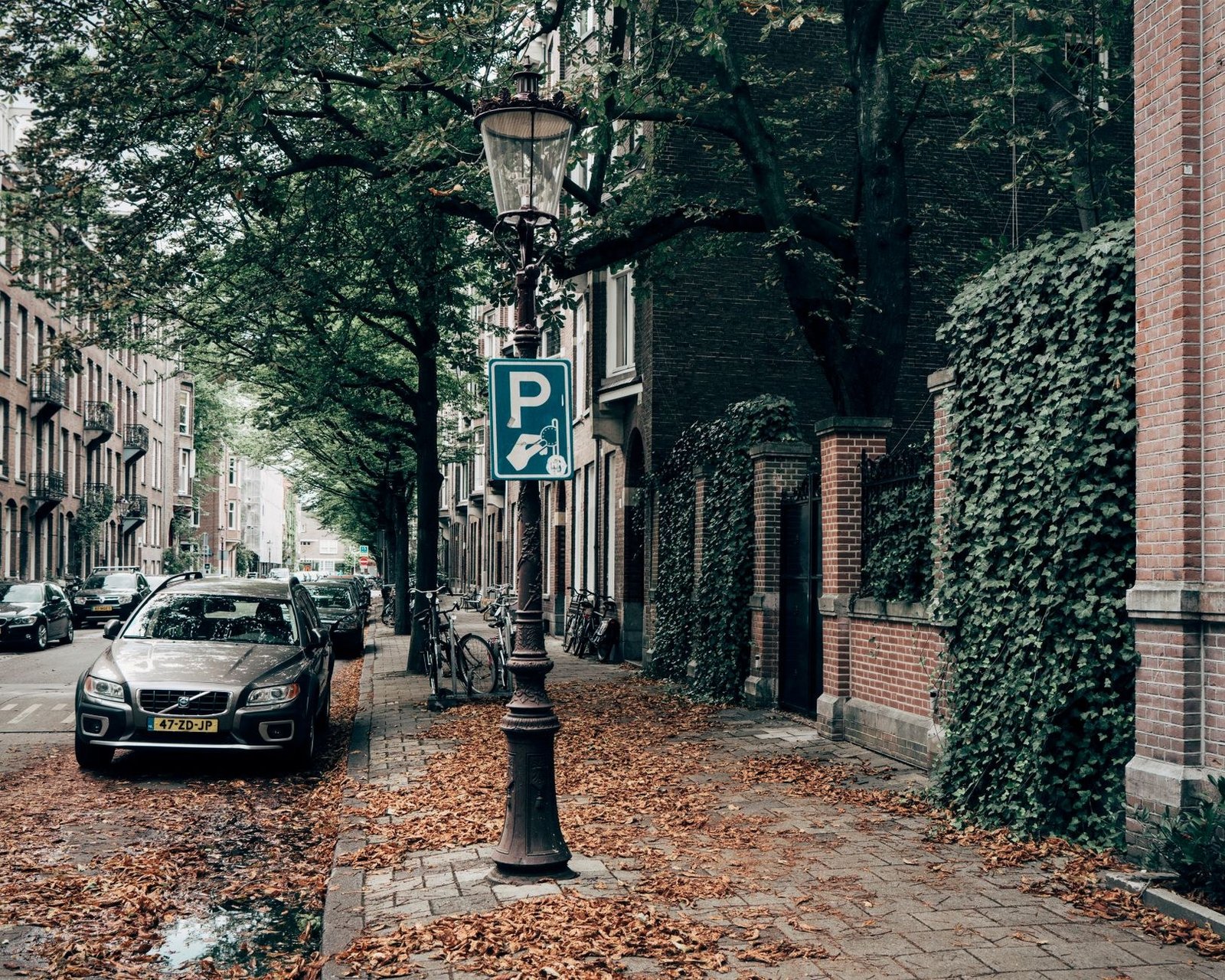 The Netherlands