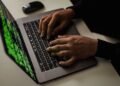 Phase Eight, Hobbs and Whistles owner hit by cyber-attack