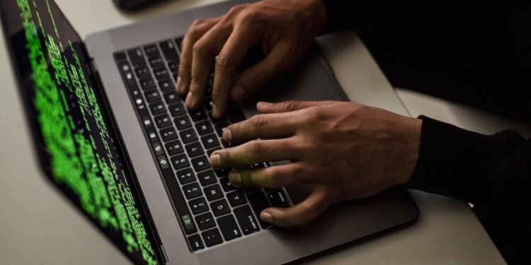 Phase Eight, Hobbs and Whistles owner hit by cyber-attack