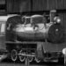 Railway Museum Utrecht: A Family Day Among Historic Trains