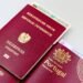 Registering in Rotterdam: Getting Your BSN and Using the International Center