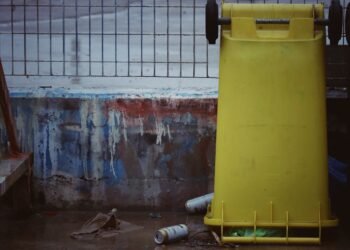 Rubbish and Recycling in Utrecht: Collection Days, Sorting and Fines