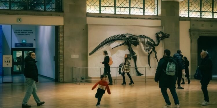 Science and Industry Museum Manchester: Family Visit Planner
