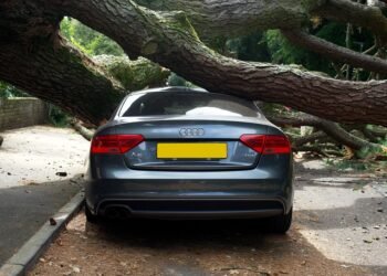 Storm Luise injures several in Germany as storm Manja follows
