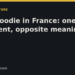 Mylistingo title card: The hoodie in France: one garment, opposite meanings