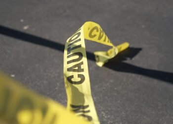 Two officials shot dead during gun inspection in Bavarian village