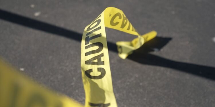 Two officials shot dead during gun inspection in Bavarian village
