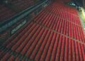 UEFA ban leaves Germany facing empty stadium in Belgrade