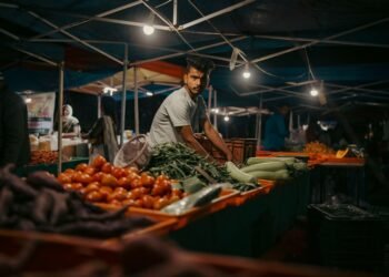 Working for Yourself in the UK: Setting Up as a Sole Trader